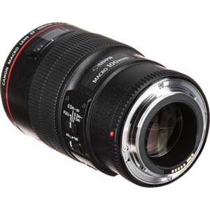 Canon EF 100mm f/2.8L IS USM Macro