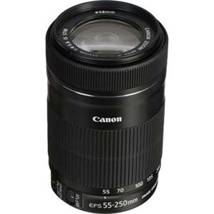 Canon EF-S 55-250mm F4-5.6 IS STM Lens
